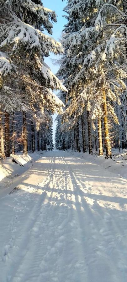 Apartman Petra Kovářská Dış mekan fotoğraf