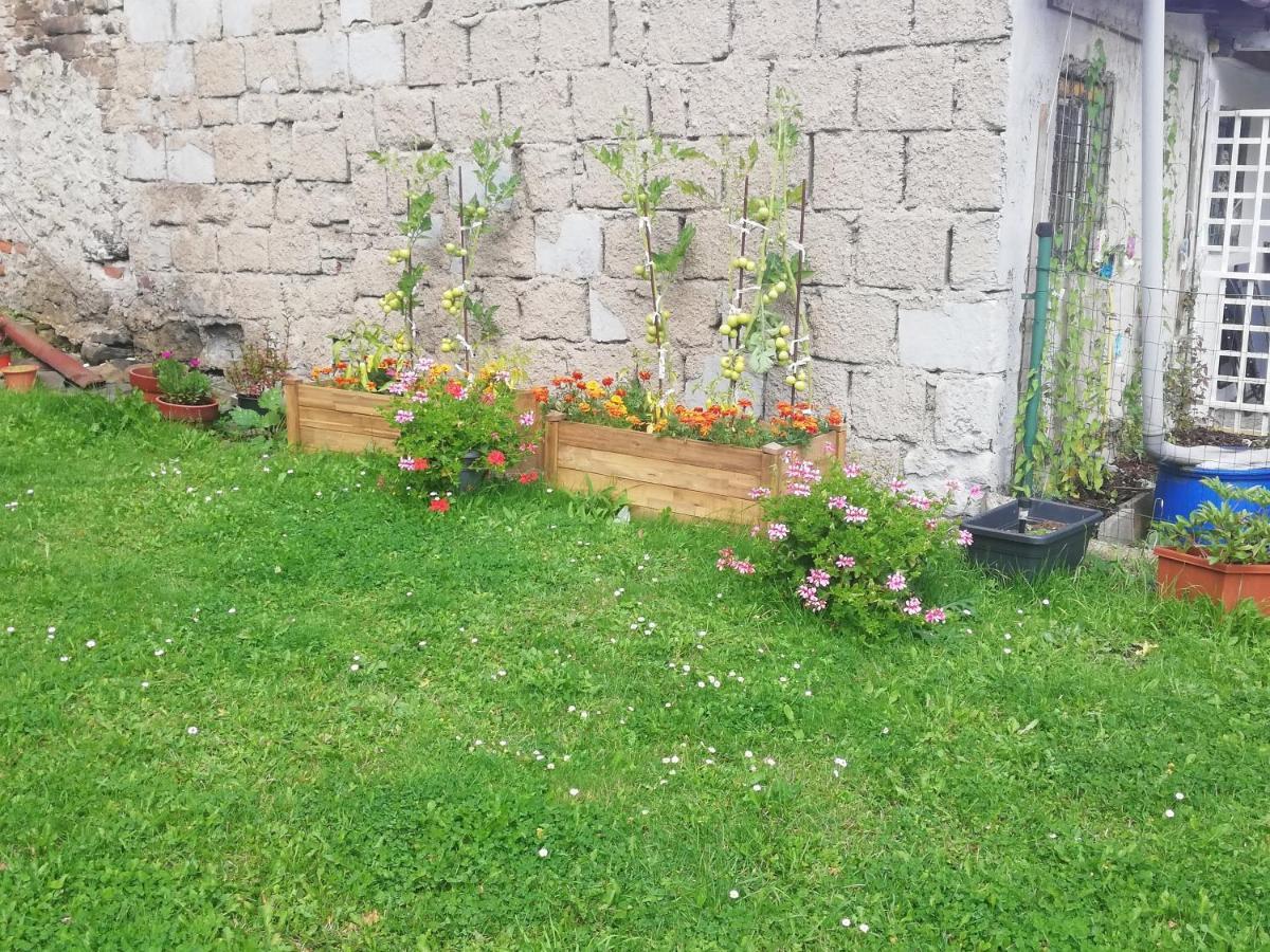 Apartman Petra Kovářská Dış mekan fotoğraf